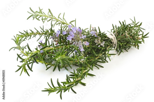 Bunch of flowering rosemary, tied with string.