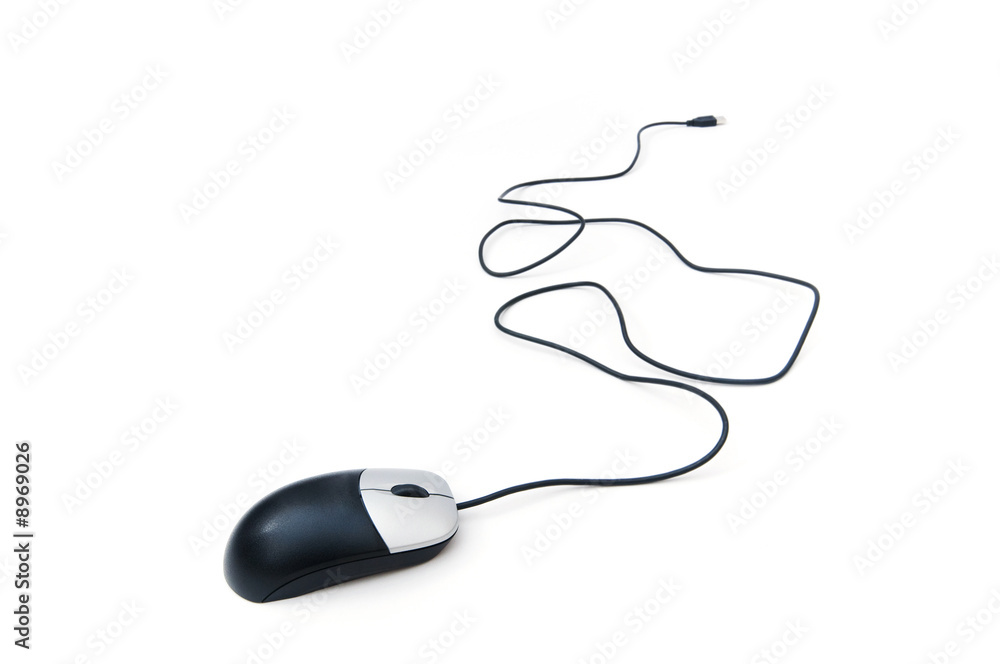 Computer mouse isolated on the white background Computer mouse isolated on the white background