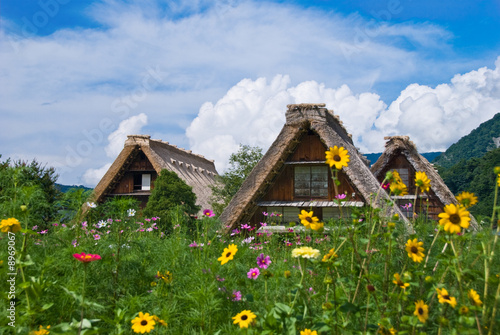 The world heritage Shirakawa-go.