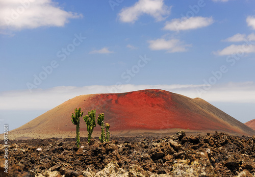 Landscape with the red volcano, blue sky and cactuses