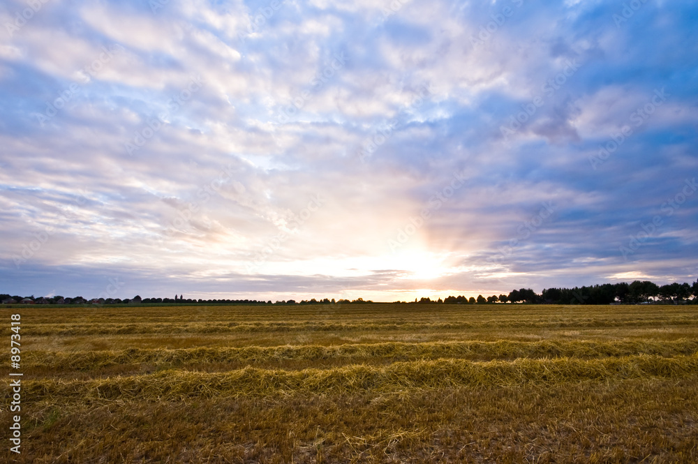 Fototapeta premium pastel sunset on a fresh mowed meadow