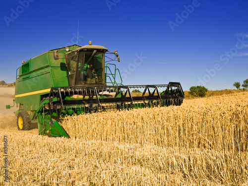 Combine harvesting a wheat field