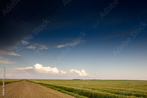 A road on a prairie landscape