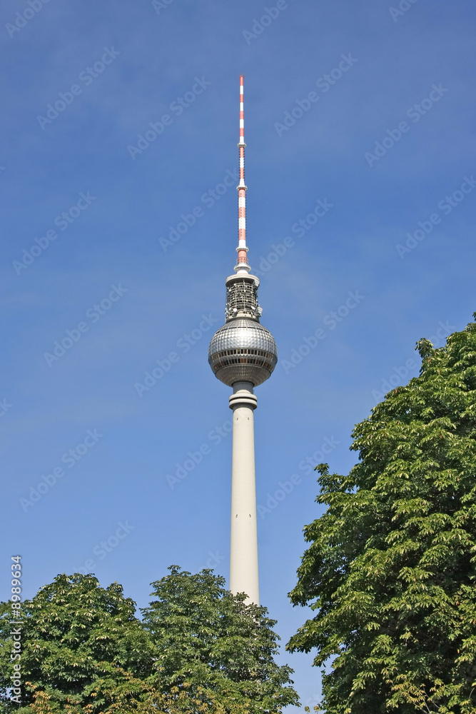 Fototapeta premium TV Tower in Berlin