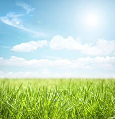 sky and grass