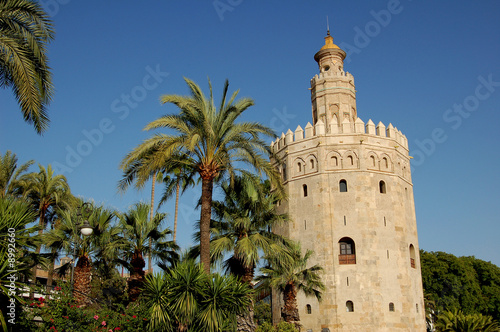 la tour de l'or de séville, au bord du Guadalquivir