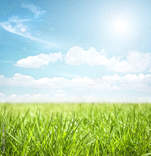 sky and grass