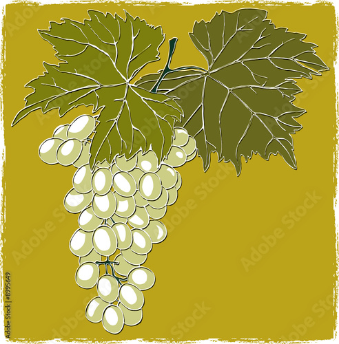 Grapes With Leaves photo