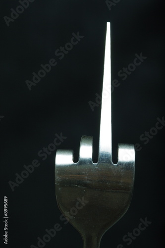 Canvas Print Abscene jesturing fork
