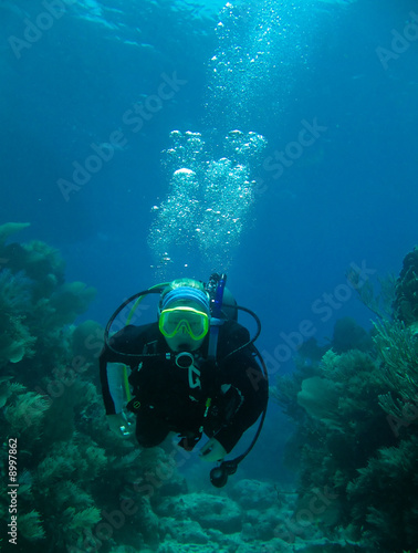 Shots of scuba diving in the Florida keys © Dennis Connelly