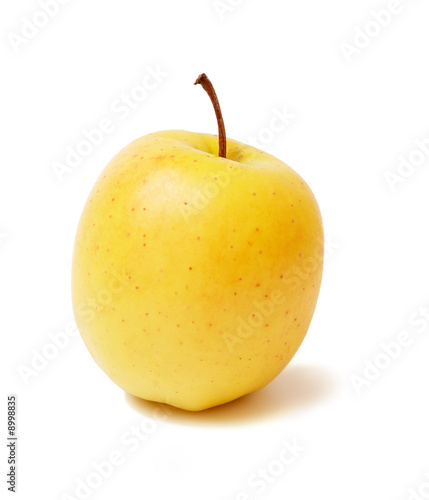 Apple golden on a white background.