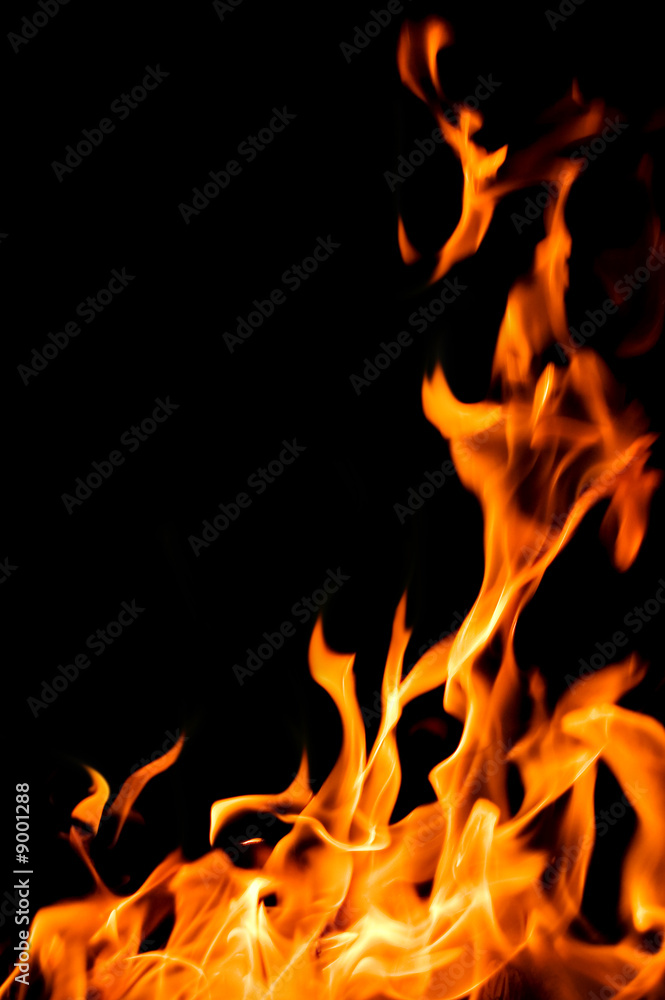 fire flame isolated on black background fire flame isolated on black background