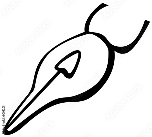 quill pen nib