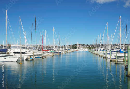 city of sails  Auckland  New Zealand