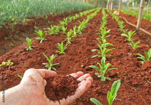 agriculture land