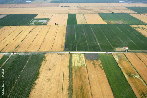 agricoltura in Italia photo