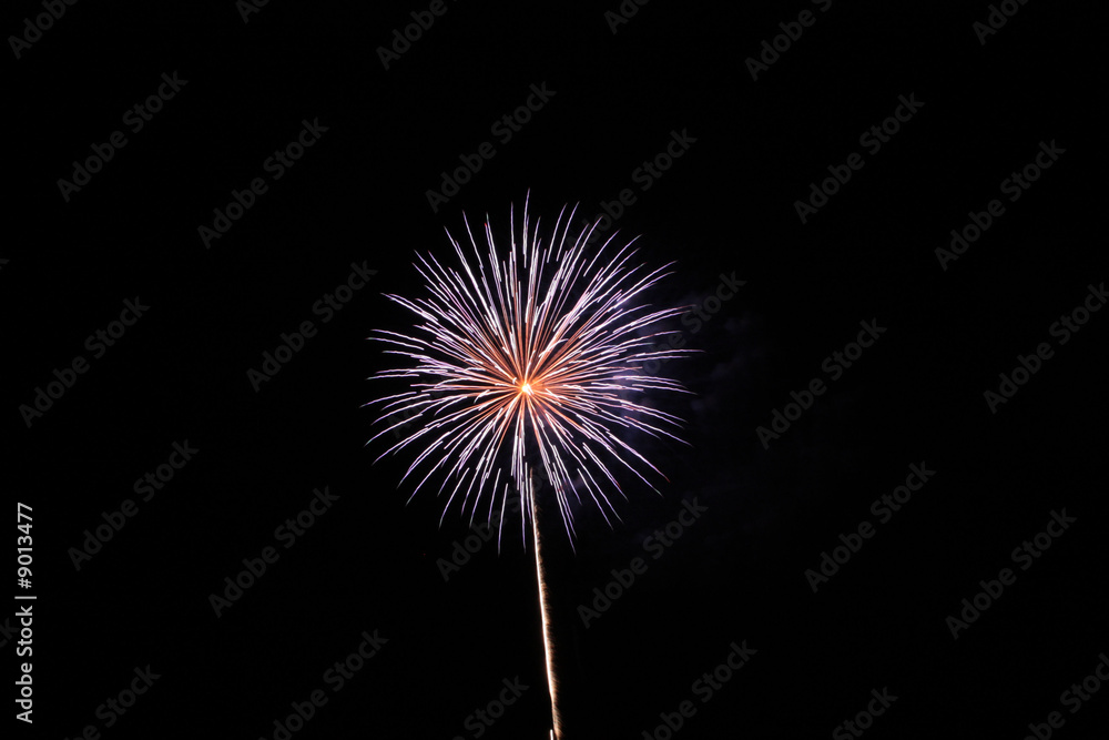 firework flower