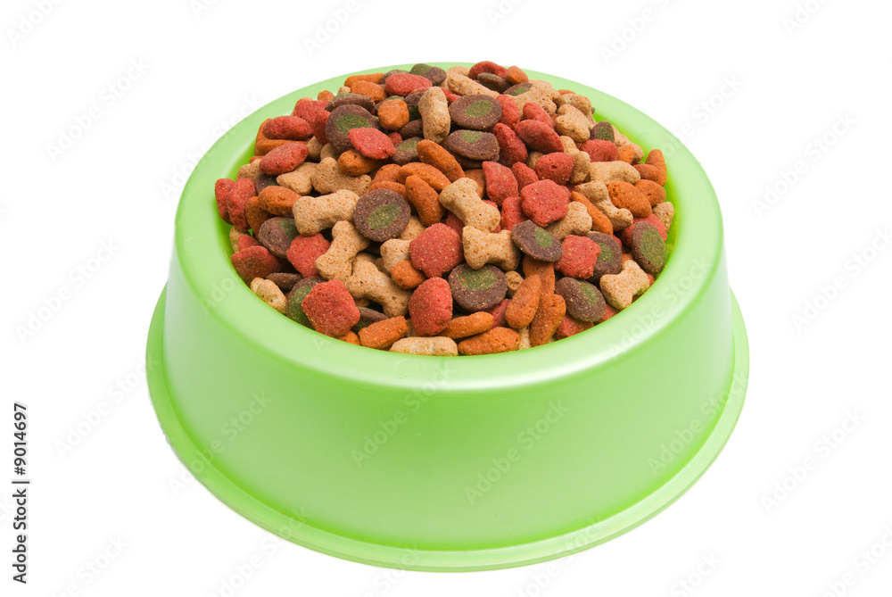 Pet Food Bowl Isolated White on Background Pet Food Bowl Isolated White on Background