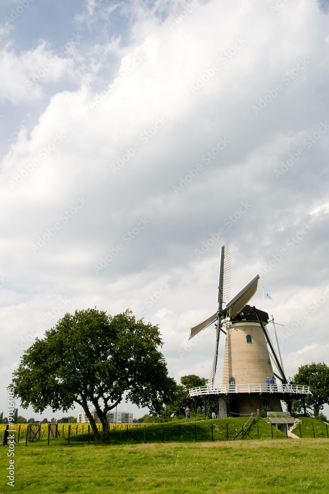 Landscape with Dutch windmill