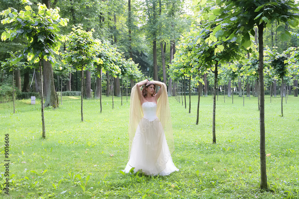 girl in white-golden gown in the summer park between young trees girl in white-golden gown in the summer park between young trees