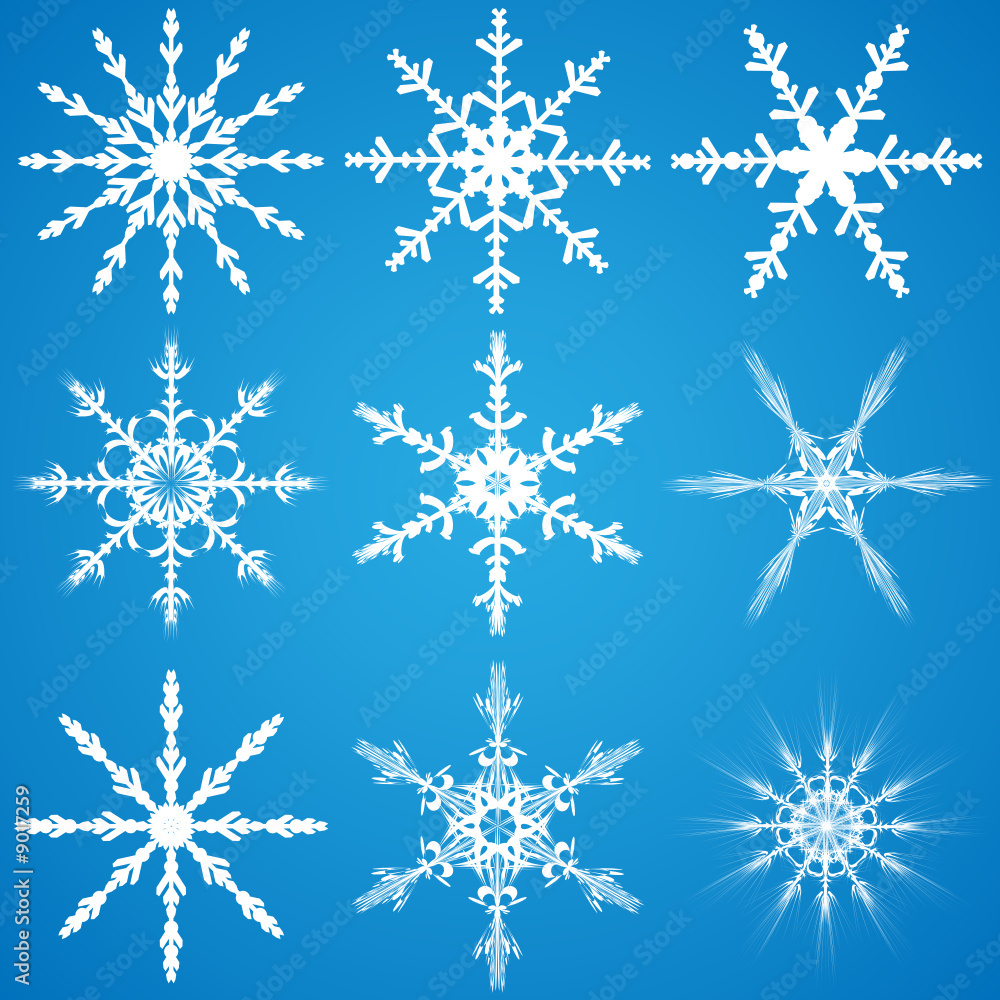 set of nine vector snowflakes. Elements for desing