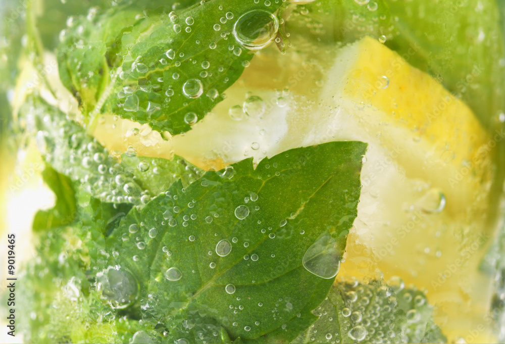 Obraz premium lime and mint at mojito covered with air bubbles