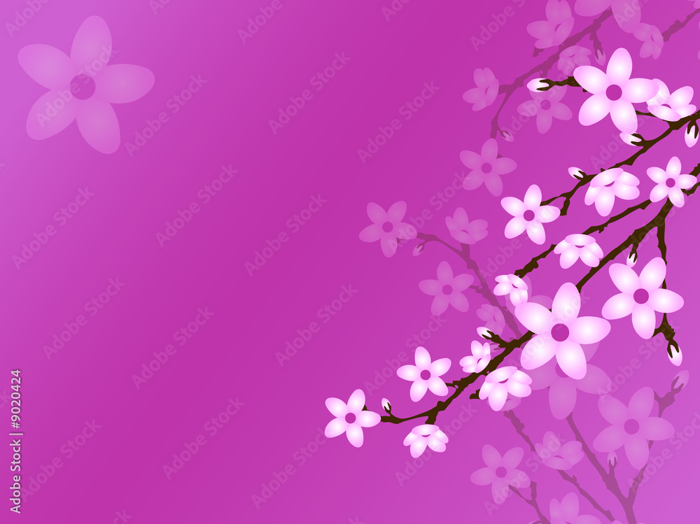 Cherry Blossom Background Cherry Blossom Background