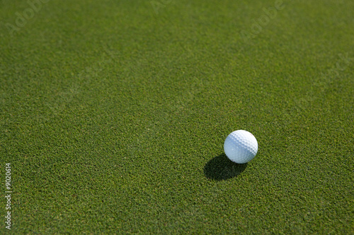golfball with place for text on green grass