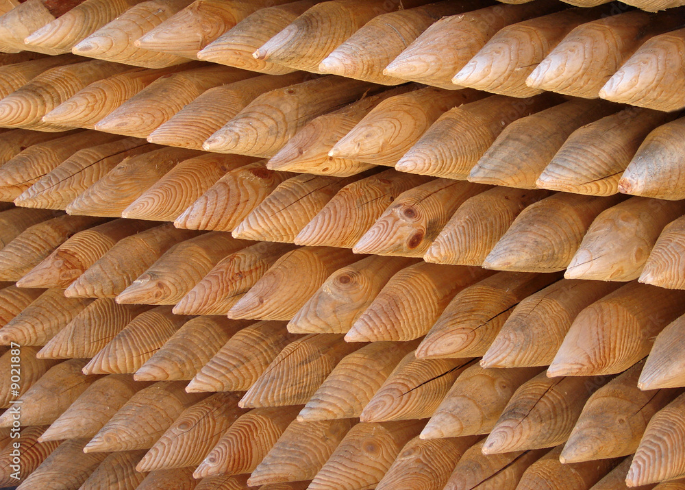 Holzpfähle Stock-Foto | Adobe Stock