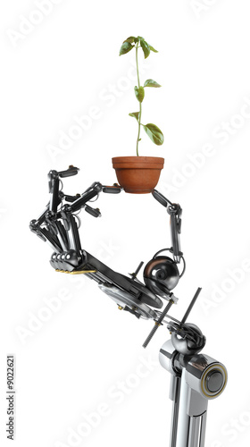 robot qui tient une jeune pousse