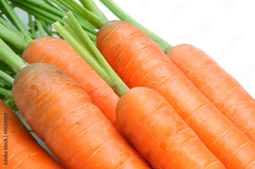 fresh carrots on white background fresh carrots on white background