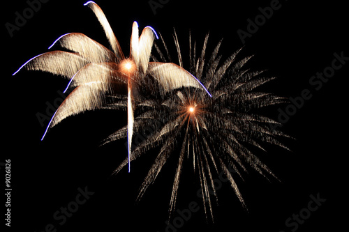 fireworks display