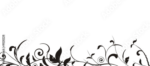vecteur série - design floral bordure