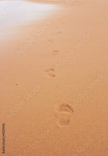 trace sur sable photo