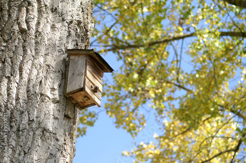 Vogelhaus am Baum 2