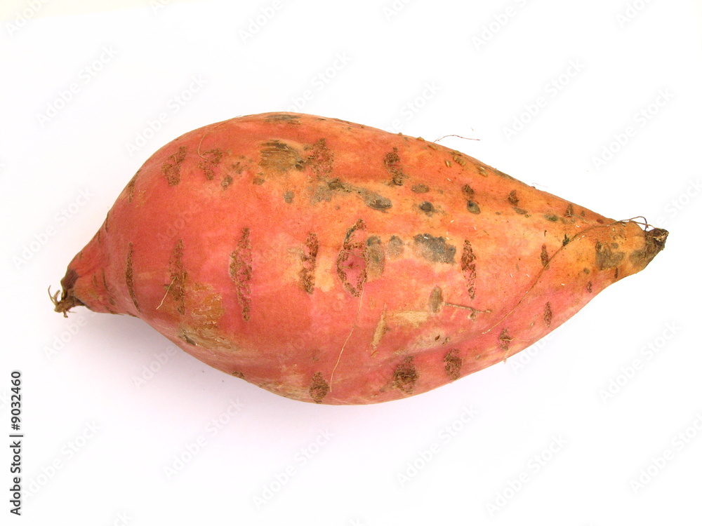 Photo De Patate Douce Patate Douce Terre Pomme Michelerousseaudtp Bienfaits Laquelle Serait Meilleure 8 Patate douce Stock Photo | Adobe Stock