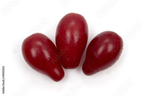 Red exotic berries