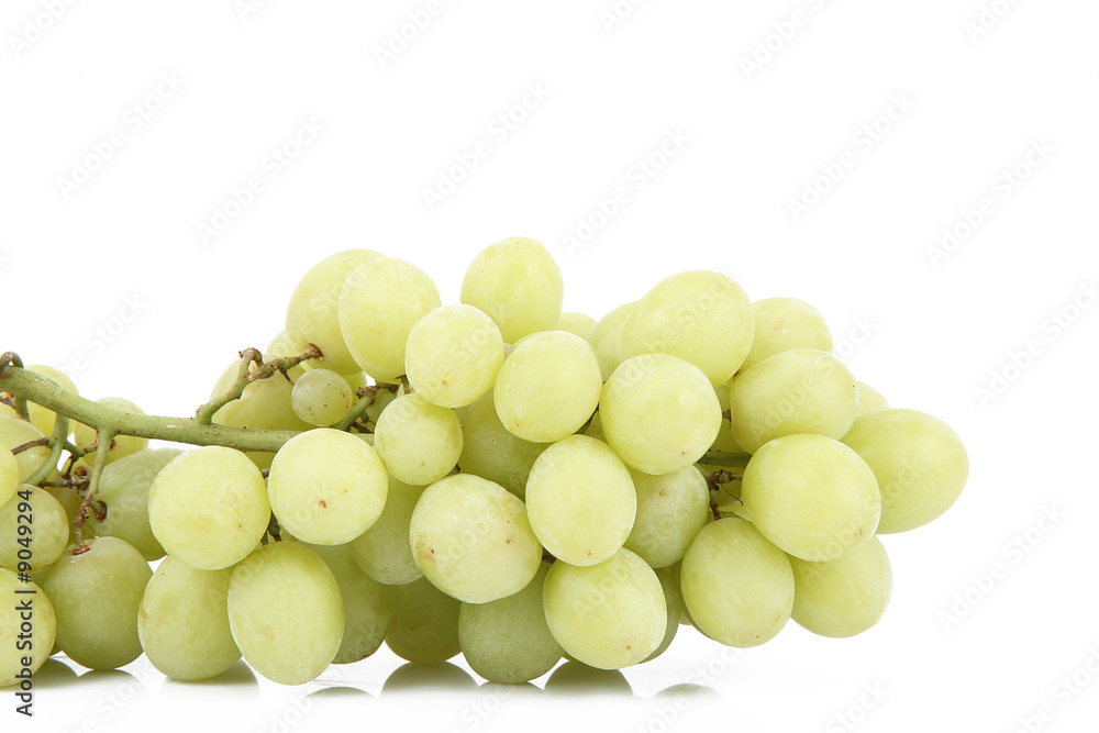 uva bianca uva bianca