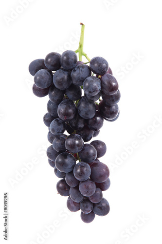 grappolo uva nera