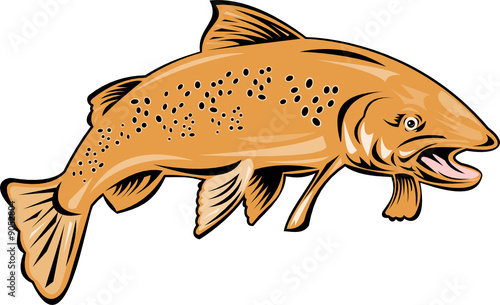Trout