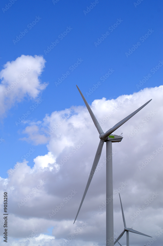 champ d'éoliennes 9 champ d'éoliennes 9