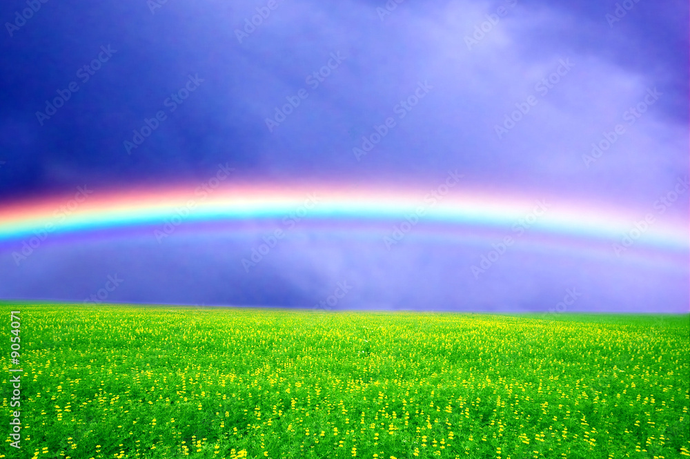 Field of green grass over rainbow sky Field of green grass over rainbow sky
