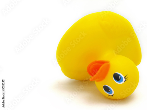 fallen rubber ducky #1