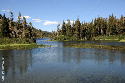 Fototapeta Naklejka Na Ścianę i Meble -  lake in a forest