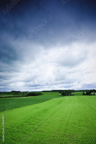 summer field landscape shot from above