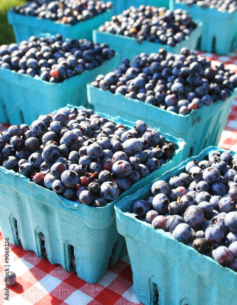 Fresh Blueberries, just picked