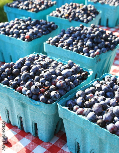 Obraz na płótnie Fresh Blueberries, just picked w salonie