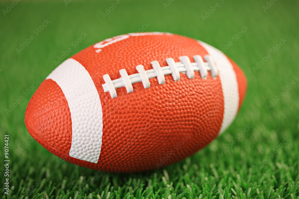 Obraz premium Rugby ball on a patch of grass