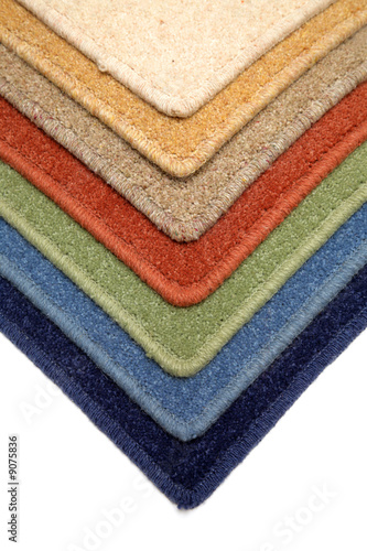 Samples of color of a carpet covering