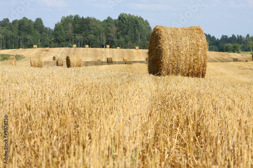 Field after harvesting stubbles and hay bales left